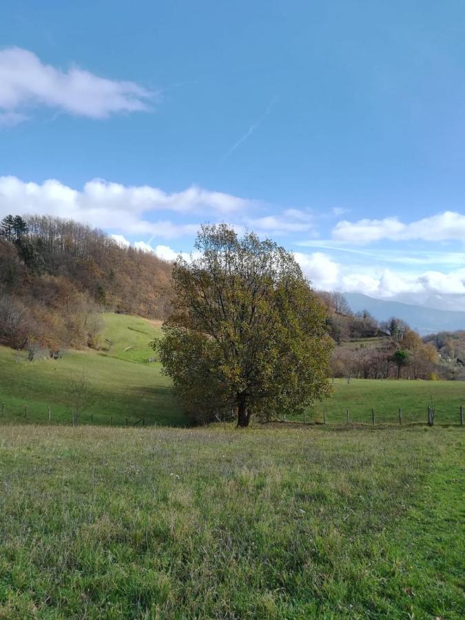 028 - Agriturismo "Il Boschetto" Con Piscina, Pace E Natura - Camera Familiare Cavizzano Extérieur photo
