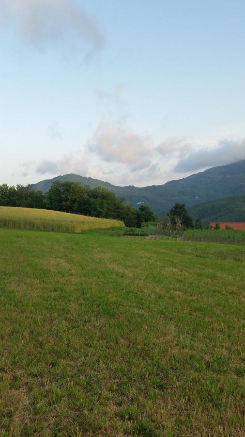 028 - Agriturismo "Il Boschetto" Con Piscina, Pace E Natura - Camera Familiare Cavizzano Extérieur photo